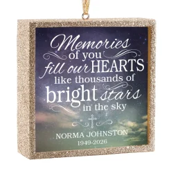 TwinkleBright® LED Memories of You Ornament