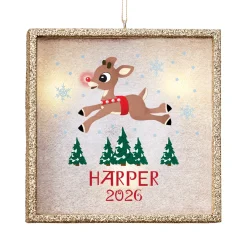 TwinkleBright® Rudolph® & Friends Scenic LED Ornament