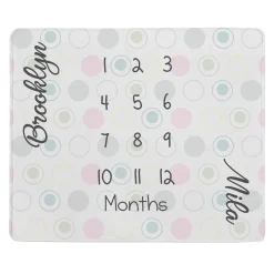 Twin Monthly Milestone Plush Blanket