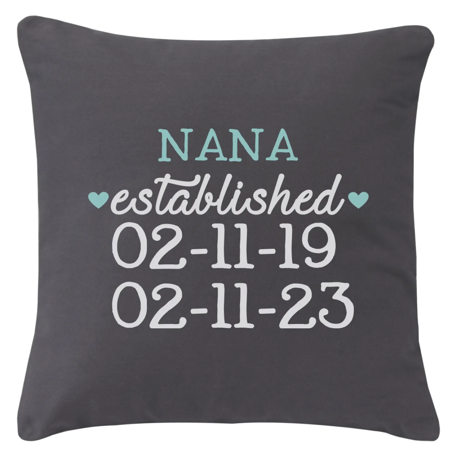 We Became Grandparents Throw Pillow