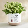 Wings Were Ready Photo Planter